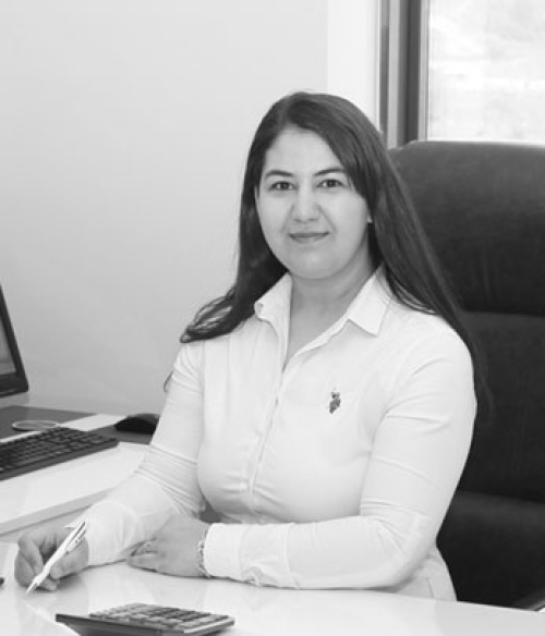 Mali İşler Sorumlusu