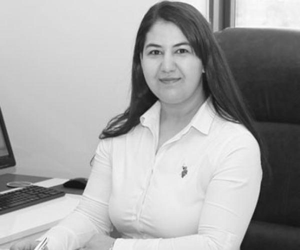 Mali İşler Sorumlusu