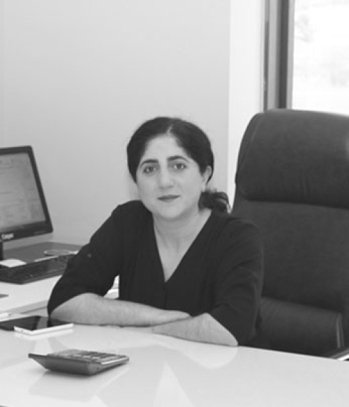 Şirket Müdürü 